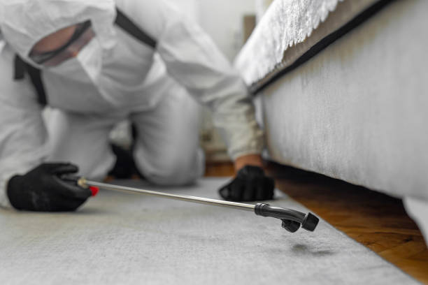 Professional Bed Bug Control technician working in Wayzata, MN